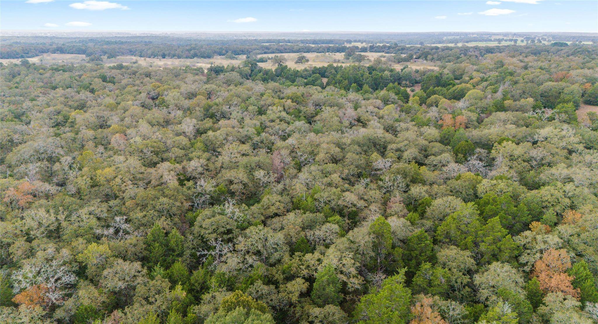 TBD County RD #415, Lexington, TX 78947
