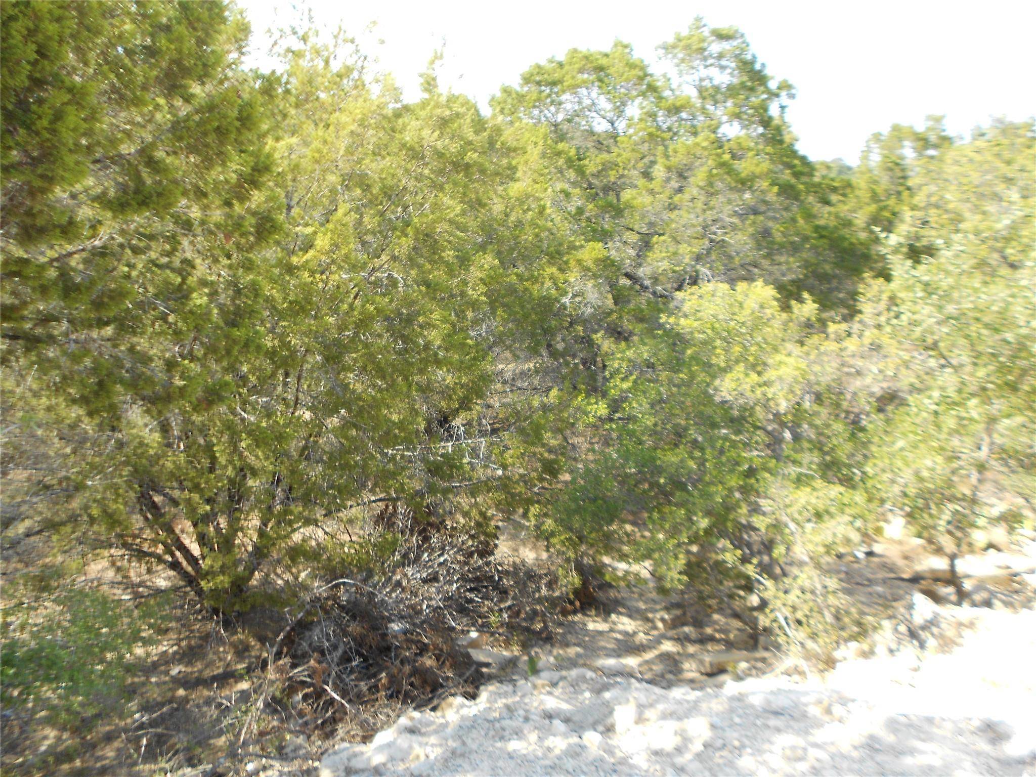 3208 Hamilton Ave, Lago Vista, TX 78645