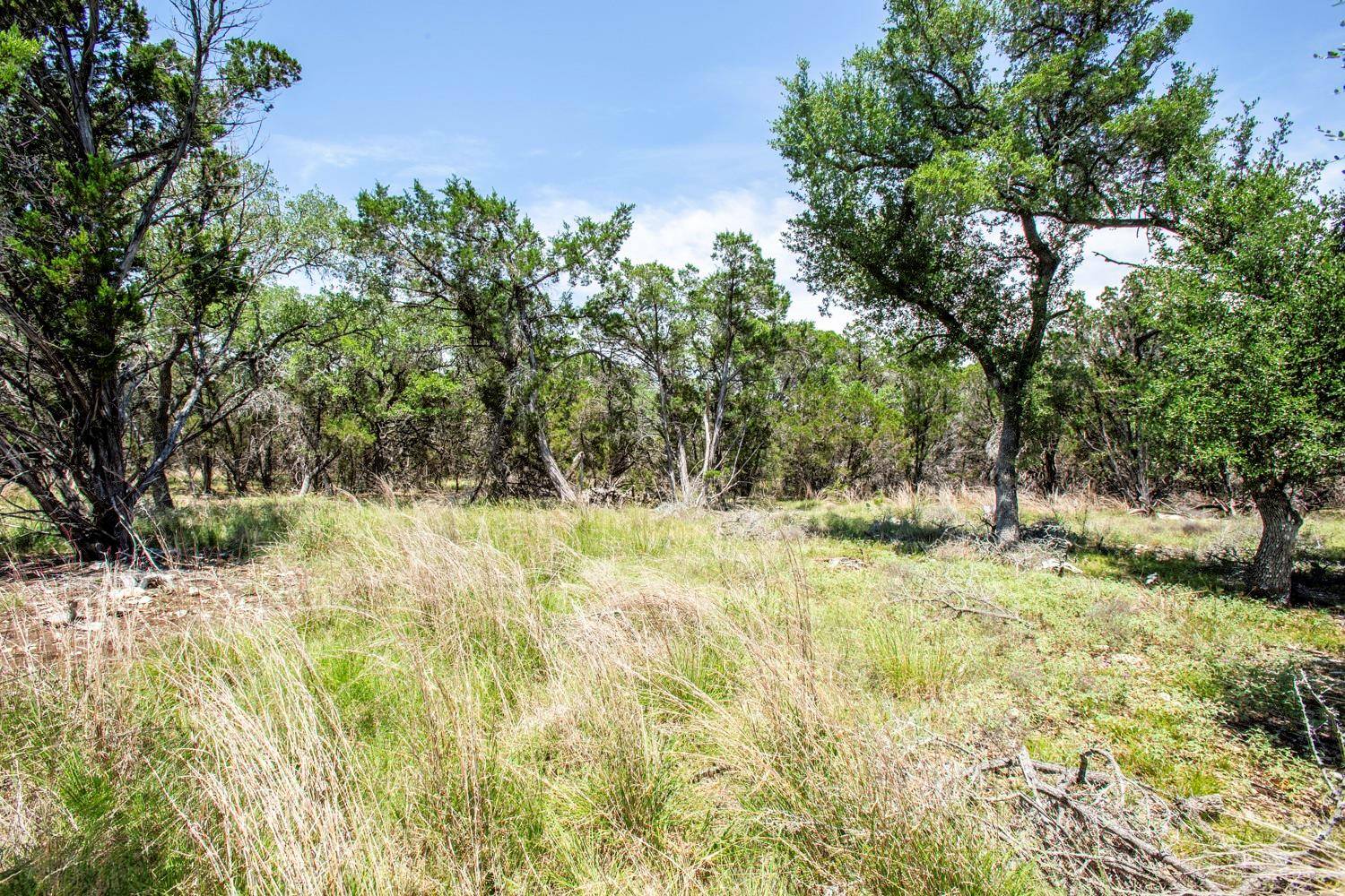 41 Persimmon DR, Wimberley, TX 78676