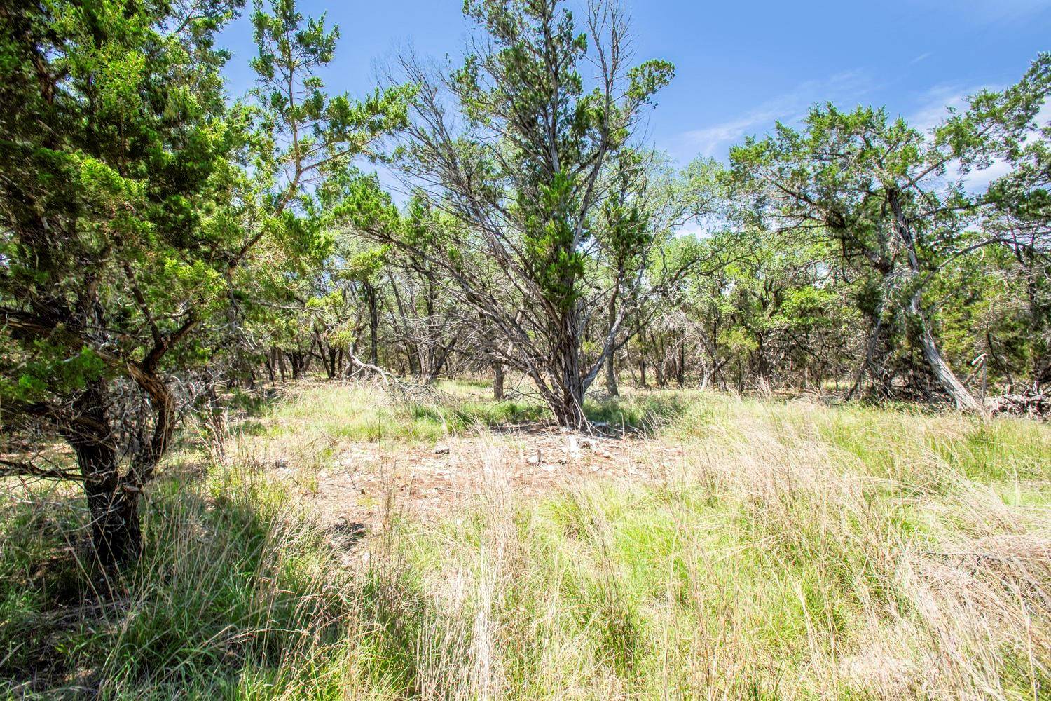 41 Persimmon DR, Wimberley, TX 78676