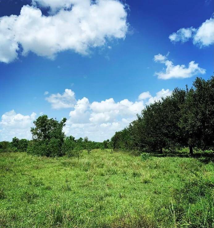 00000 FM 1462 RD, West Columbia, TX 77430