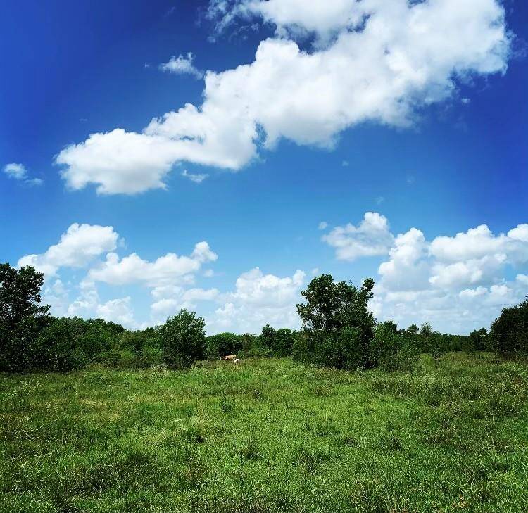 00000 FM 1462 RD, West Columbia, TX 77430