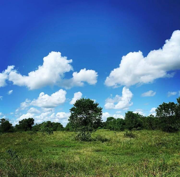 00000 FM 1462 RD, West Columbia, TX 77430