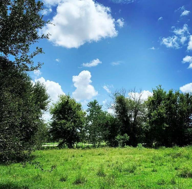 00000 FM 1462 RD, West Columbia, TX 77430