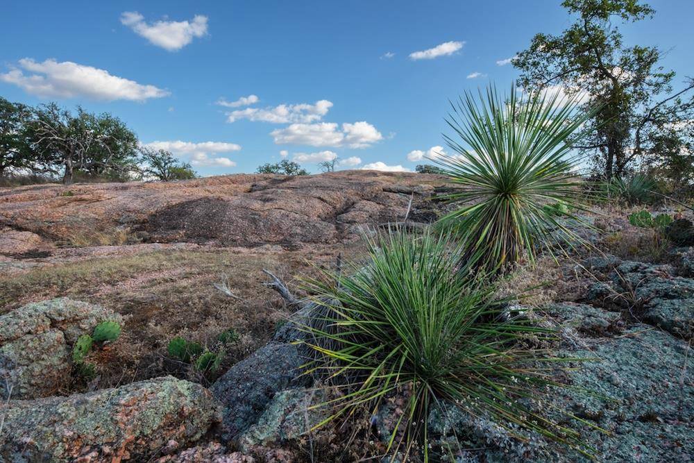 Address not disclosed, Mason, TX 76842