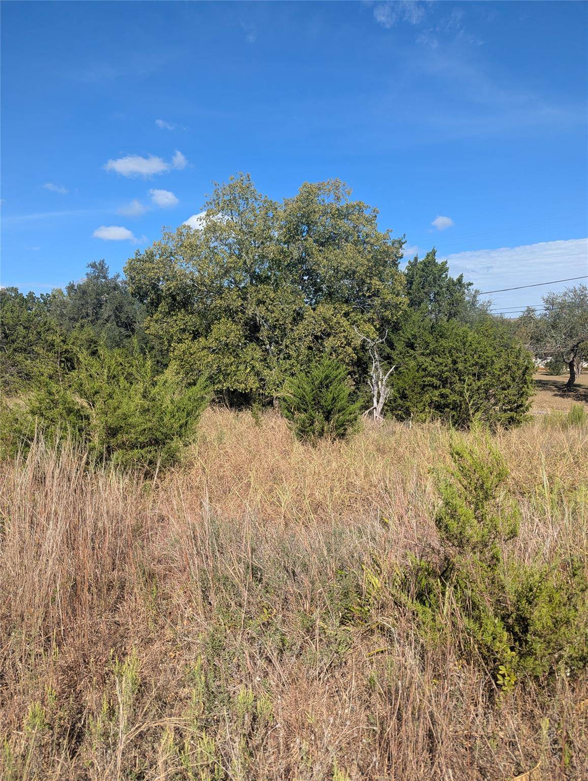 201 Springlake DR, Dripping Springs, TX 78620