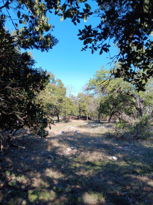 101 Timber Line RD, Georgetown, TX 78633