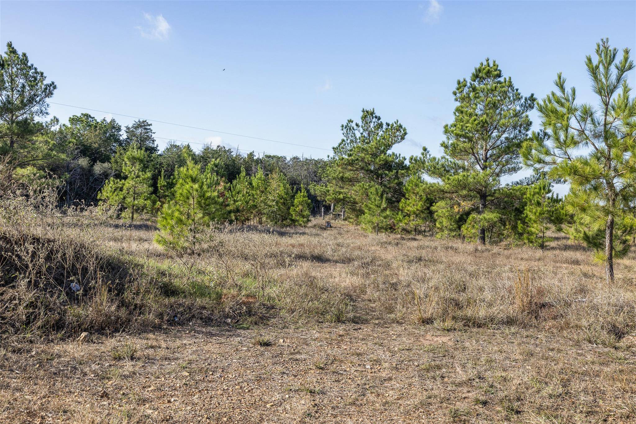 1759 Gotier Trace RD, Paige, TX 78659