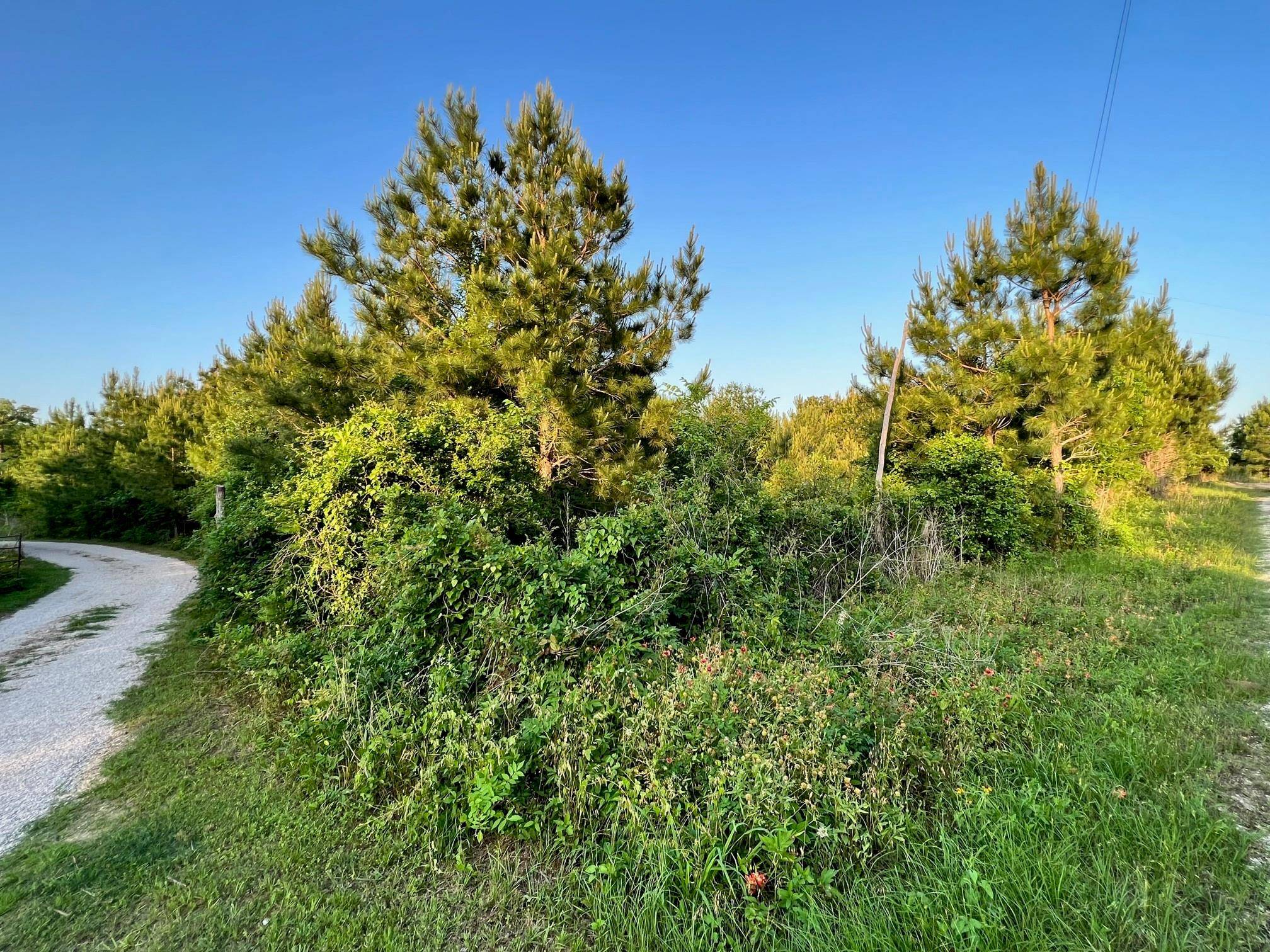 Lot 27 Kinsey Rd, Paige, TX 78659