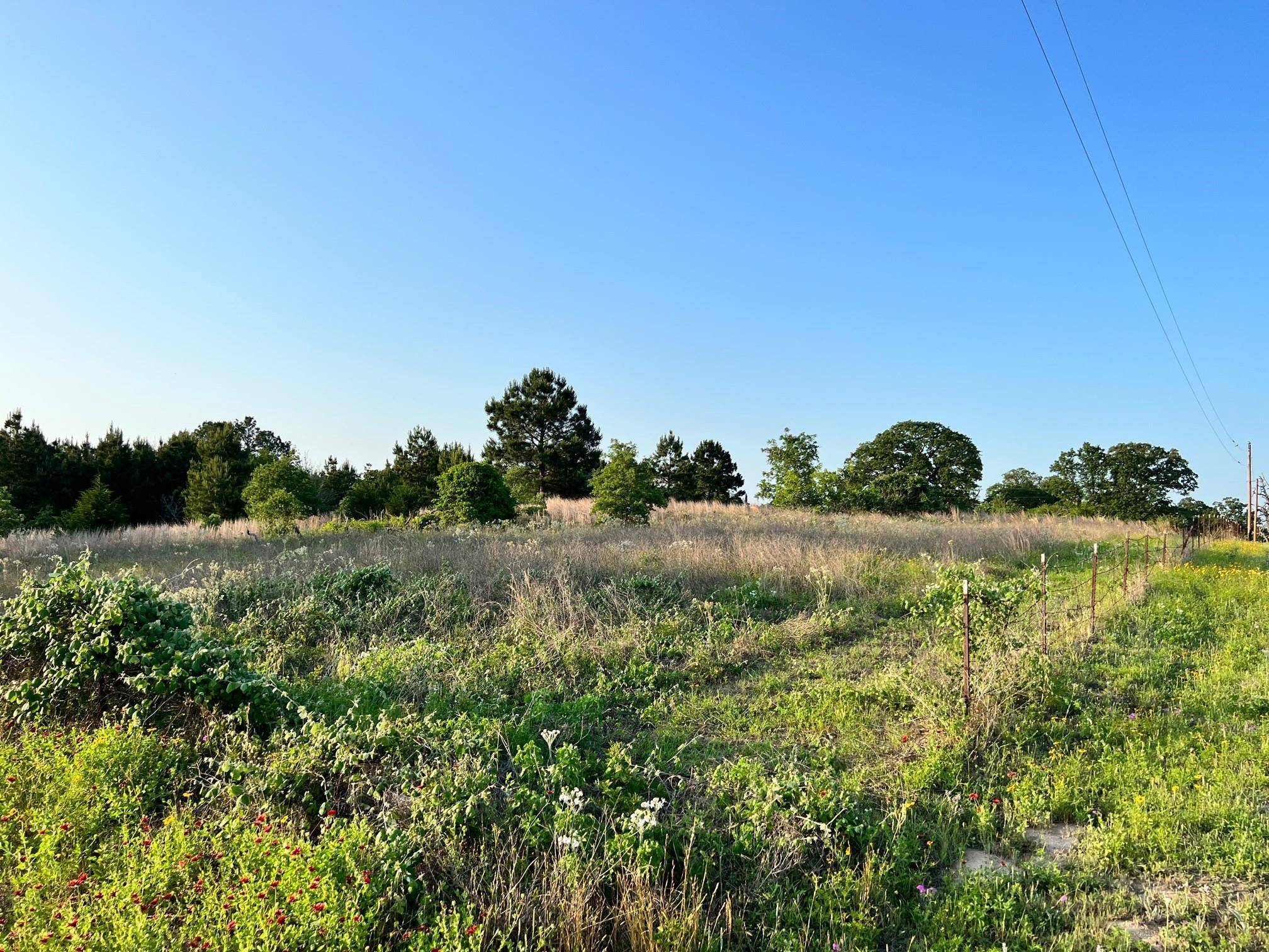 Lot 27 Kinsey Rd, Paige, TX 78659