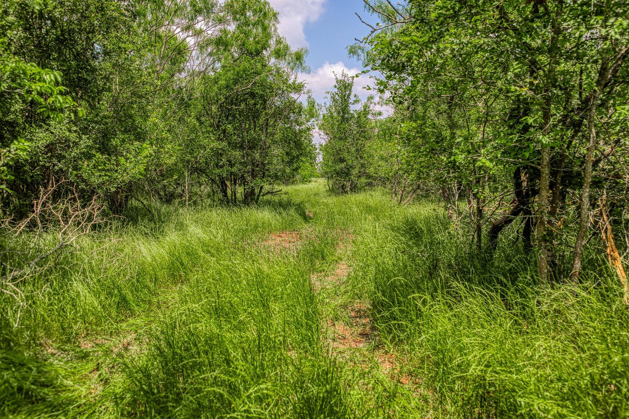 10396 County Road 276 LAND, Somerville, TX 77879