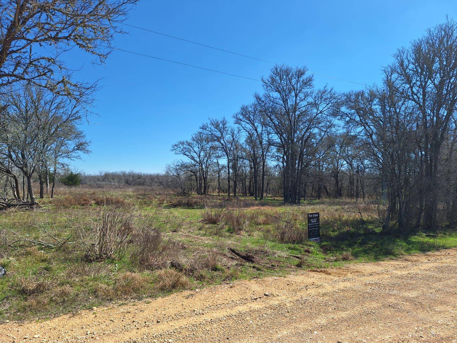 1554 Father Anderds Loop, Flatonia, TX 78941