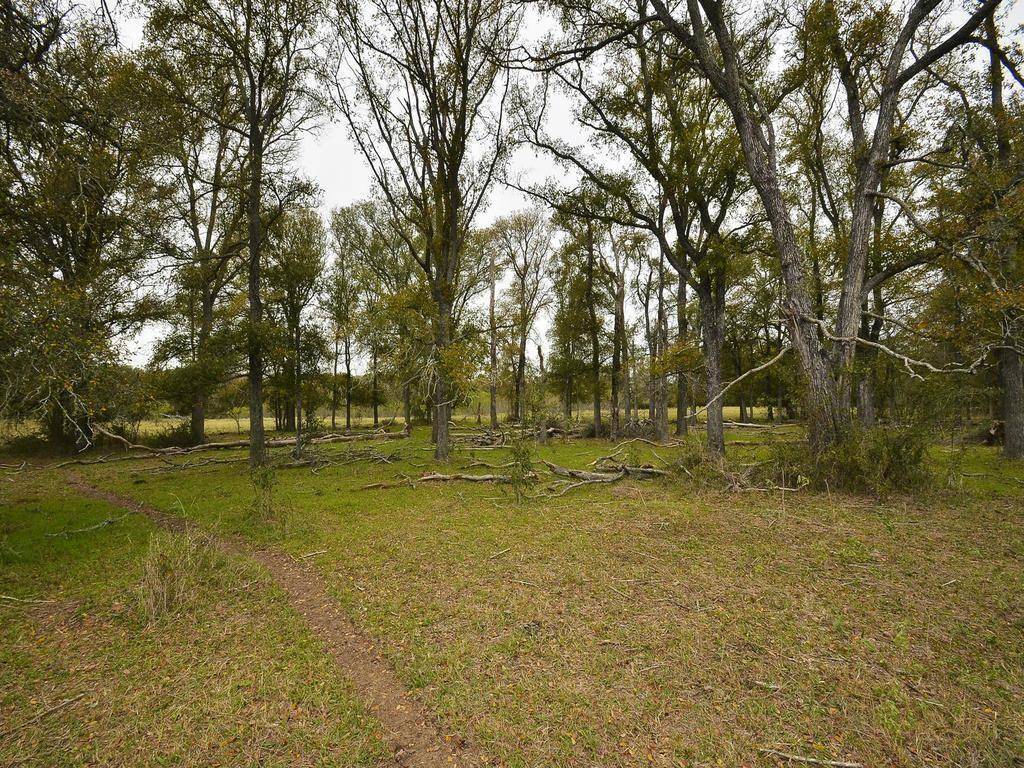 277 FM 672, Dale, TX 78616