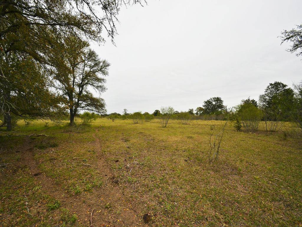 277 FM 672, Dale, TX 78616