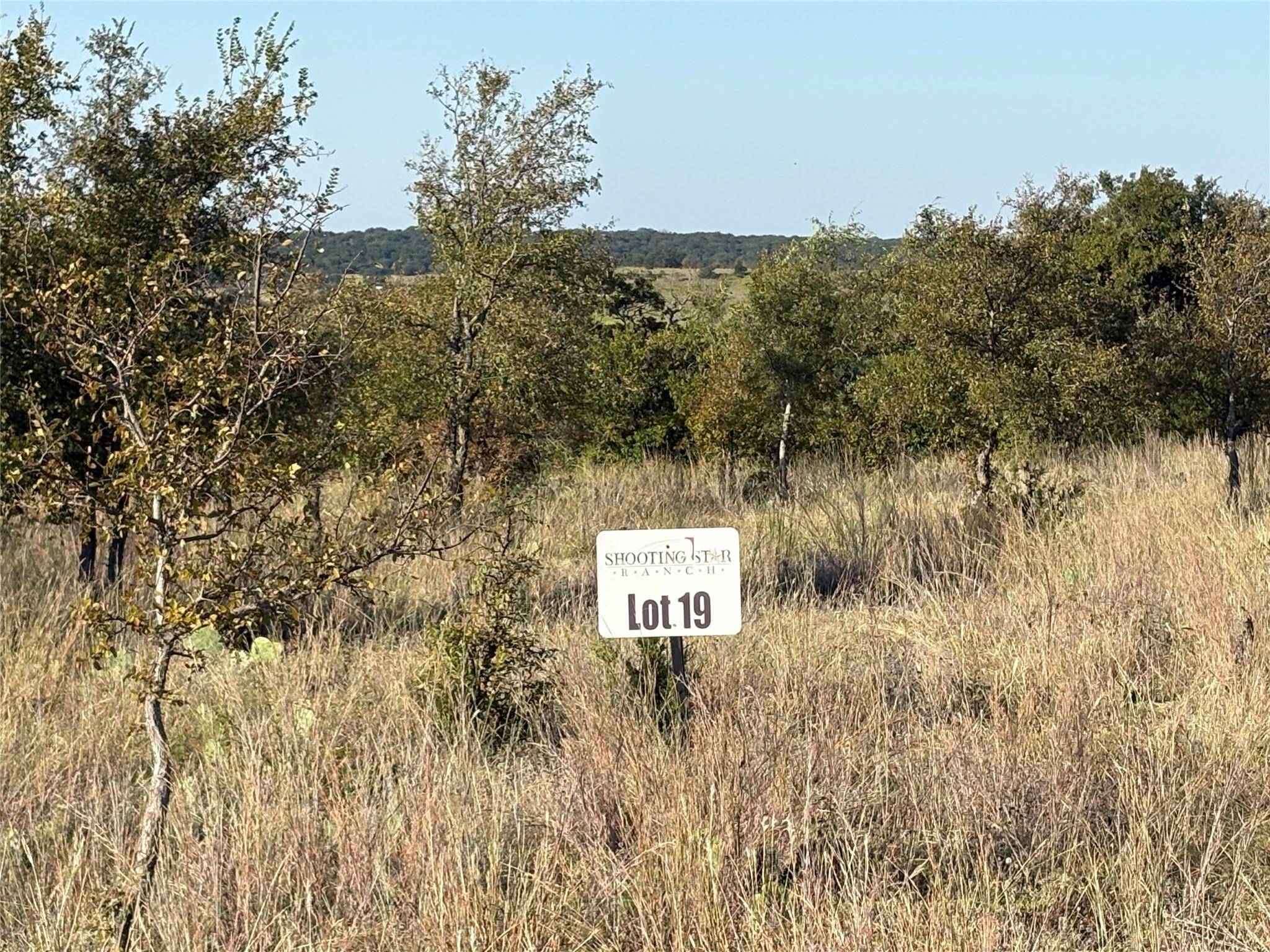 19 Night Sky DR, Lometa, TX 76853