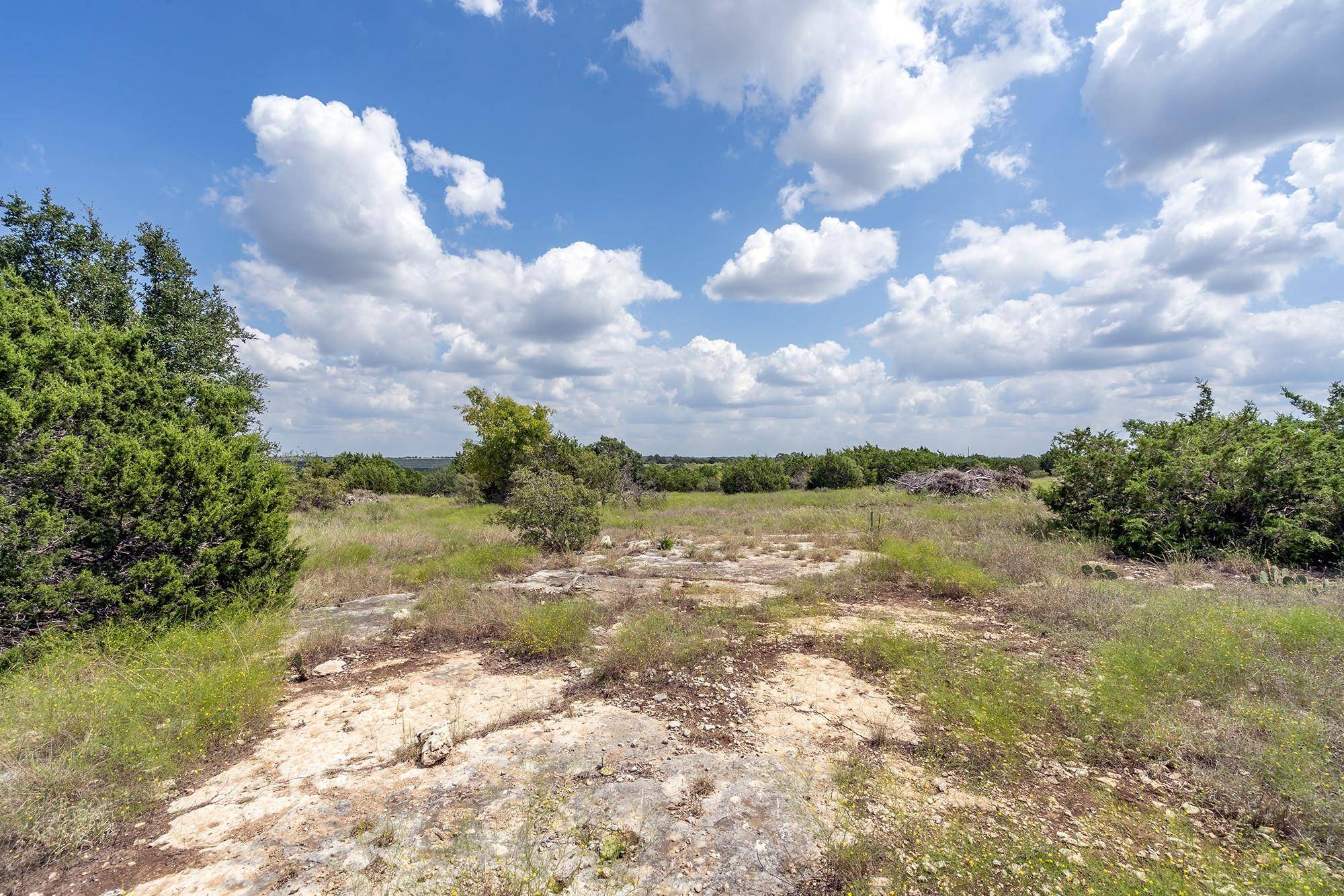 584 Saddle Ridge DR, Bertram, TX 78605