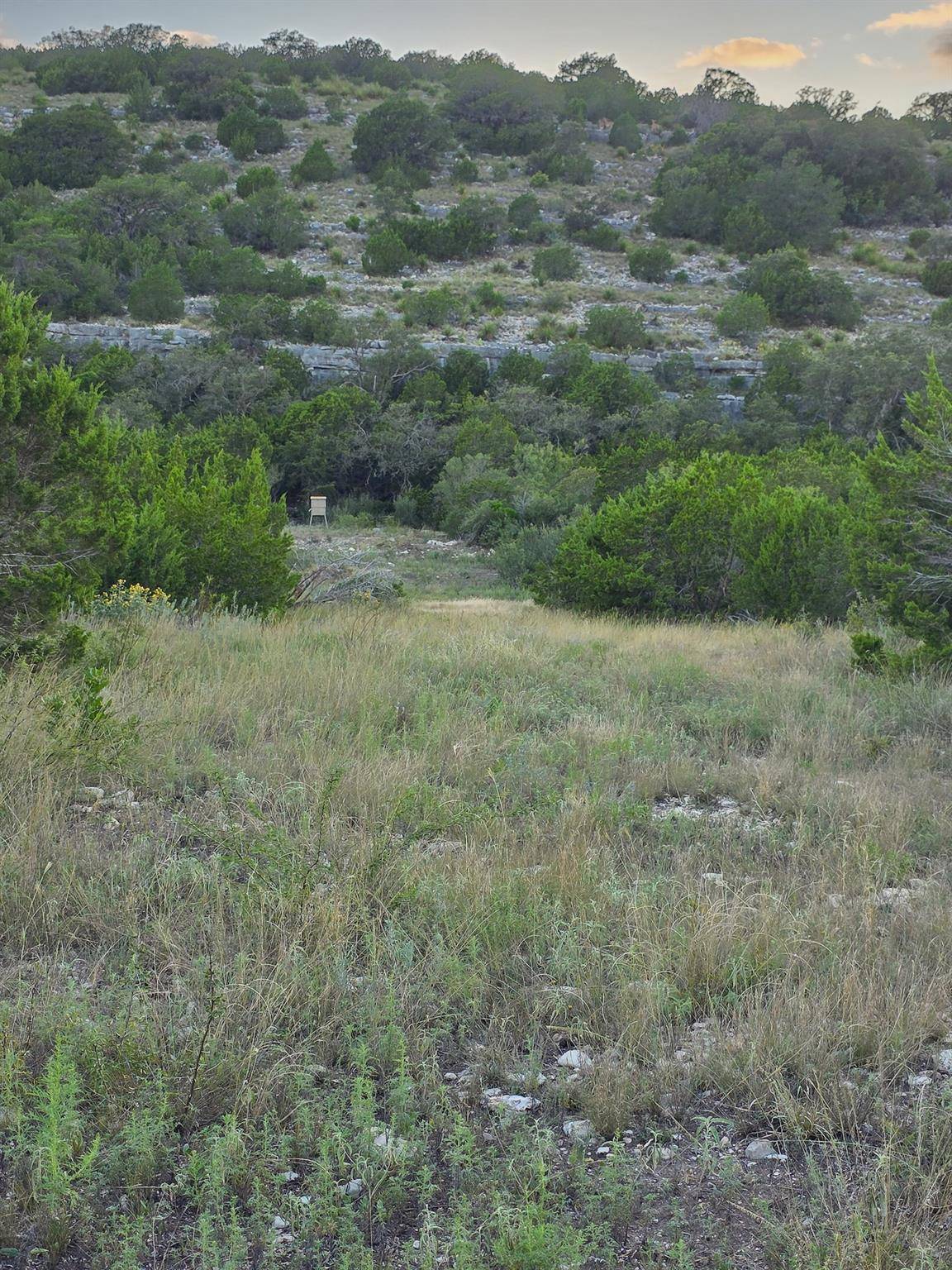 Address not disclosed, Rocksprings, TX 78880