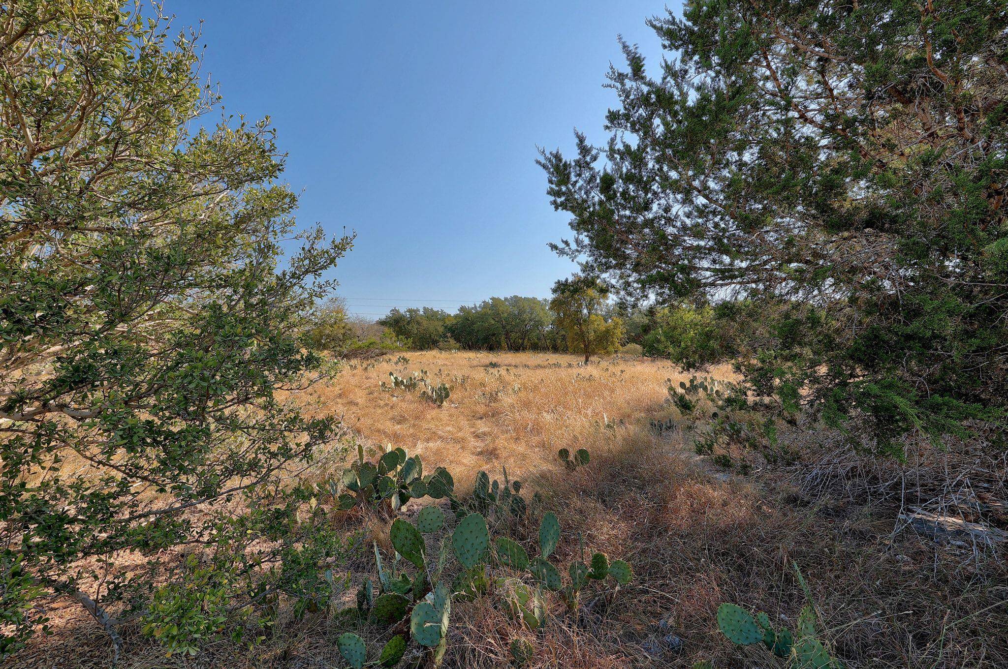 123 Appaloosa CV, Jarrell, TX 76537