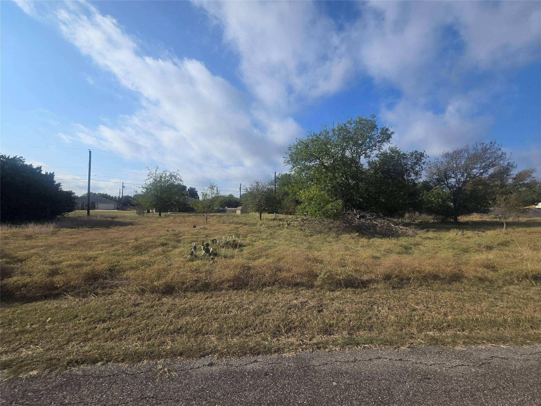36 Blue Roan DR, Belton, TX 76513