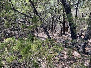20610 Agarita DR, Leander, TX 78645