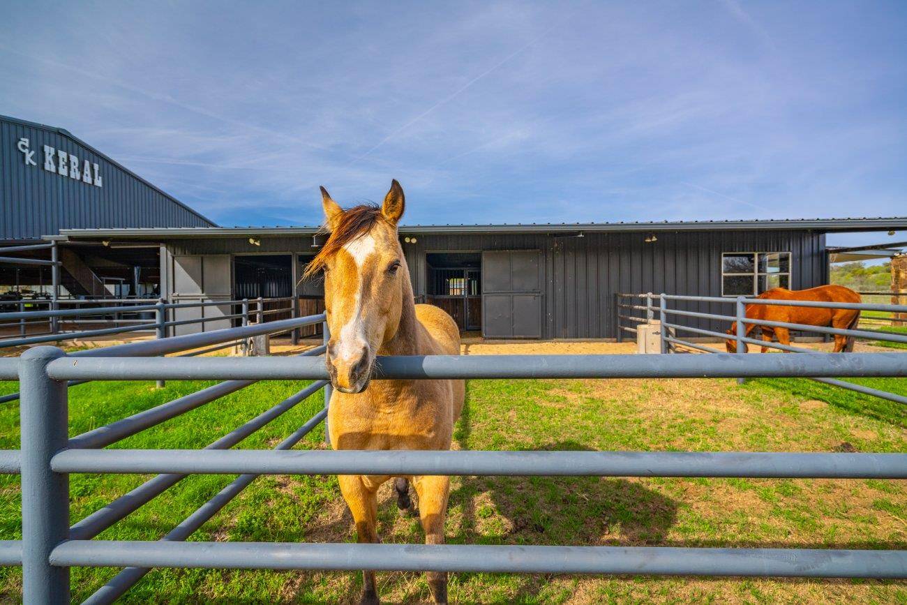 3019 S Highway 16, Llano, TX 78643