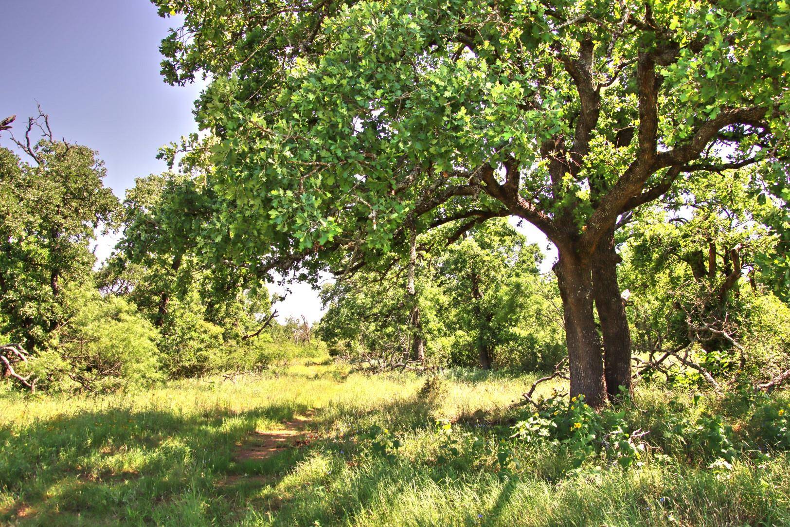 Lot 5 RM 1323, Willow City, TX 78675