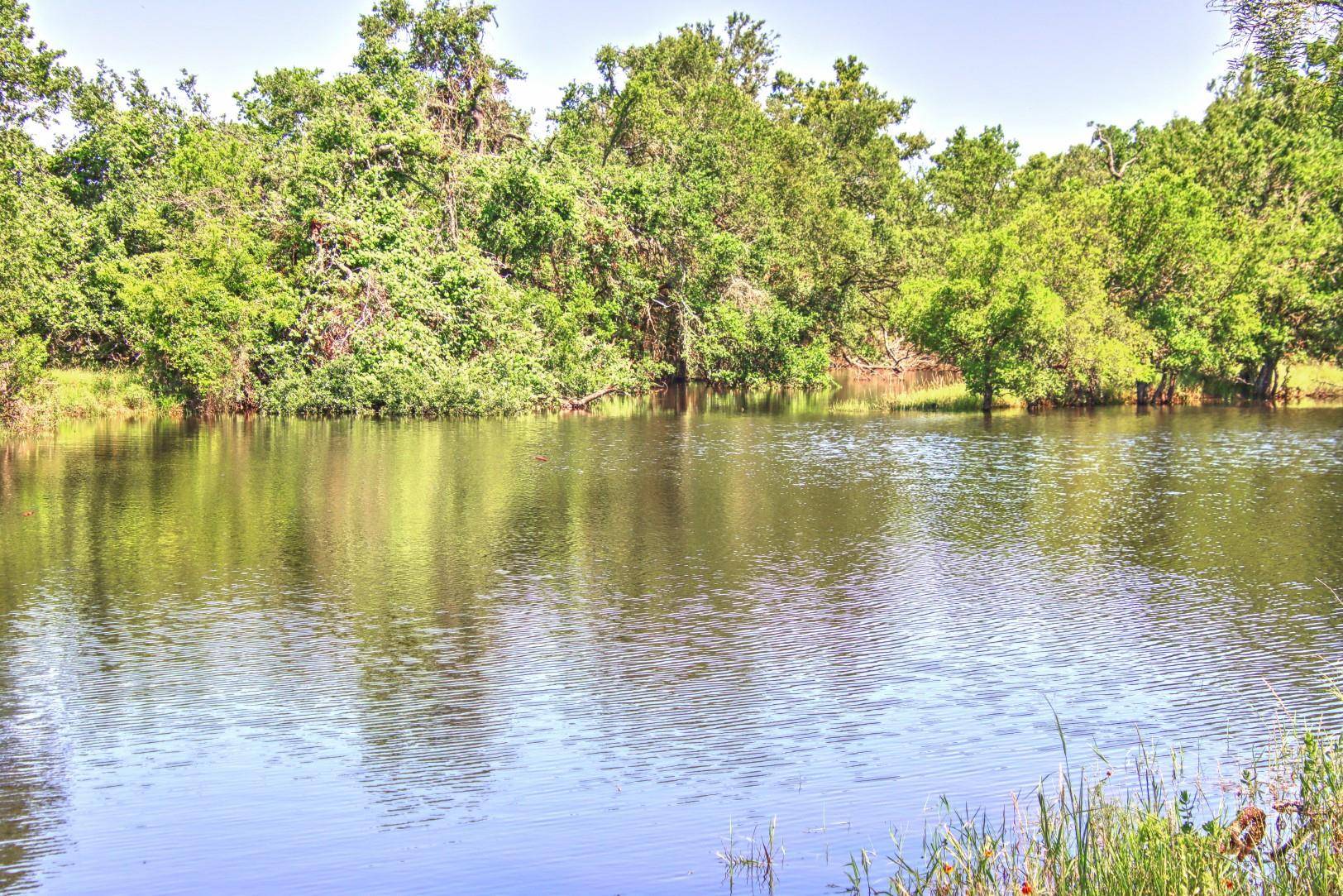 Lot 5 RM 1323, Willow City, TX 78675