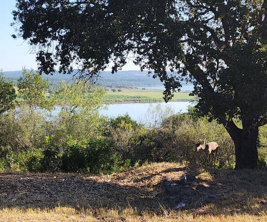 113 (Lot 3B) Hill LOOP, Spicewood, TX 78669