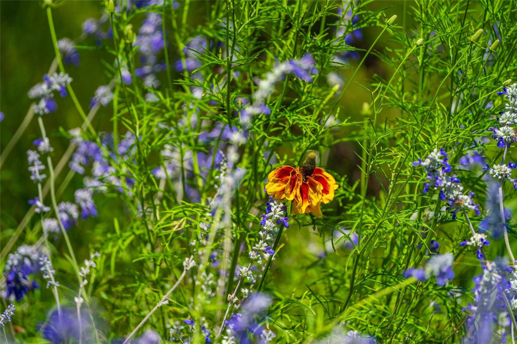 0 Jung RD, Fredericksburg, TX 78631