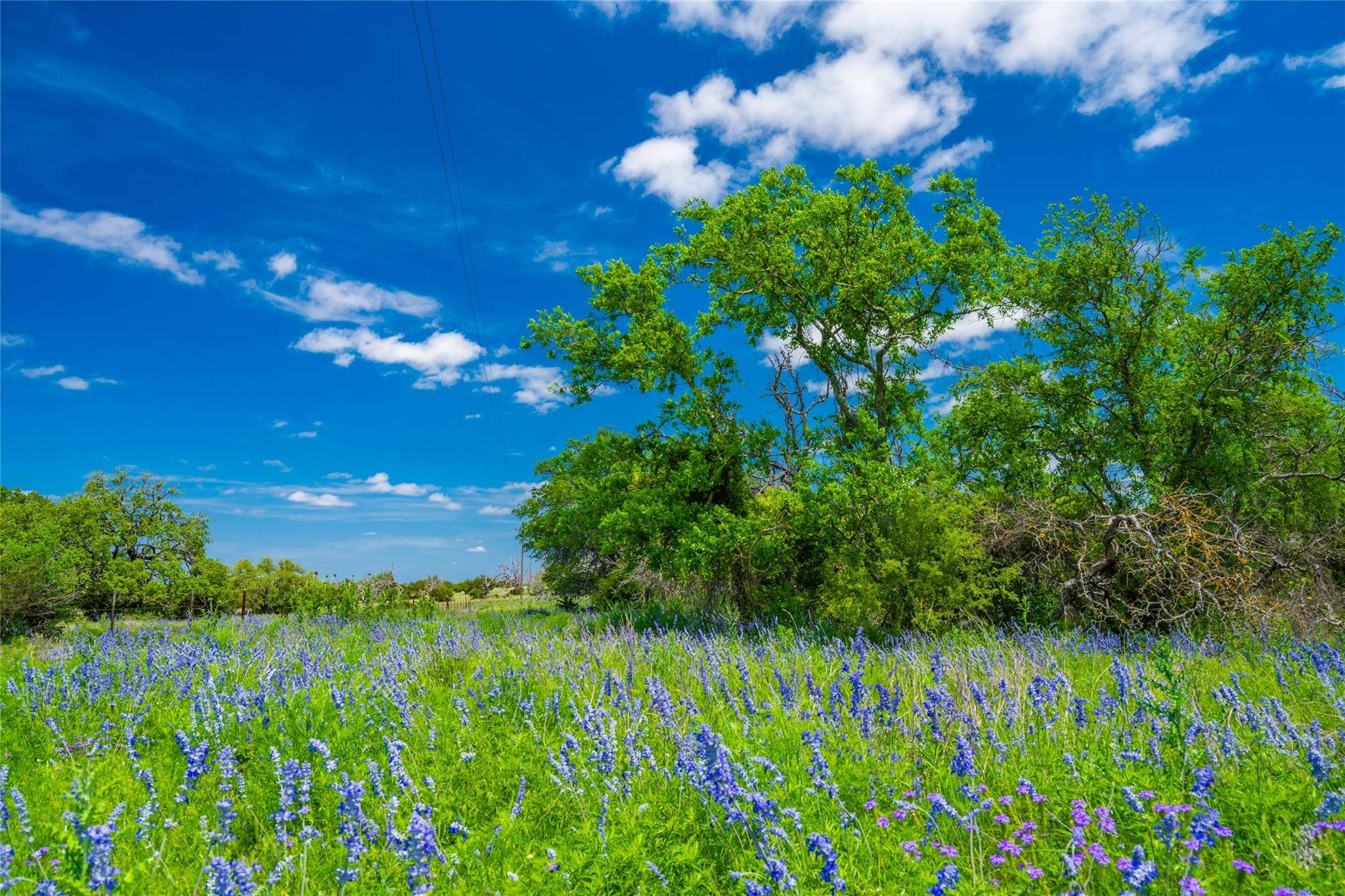 0 Jung RD, Fredericksburg, TX 78631