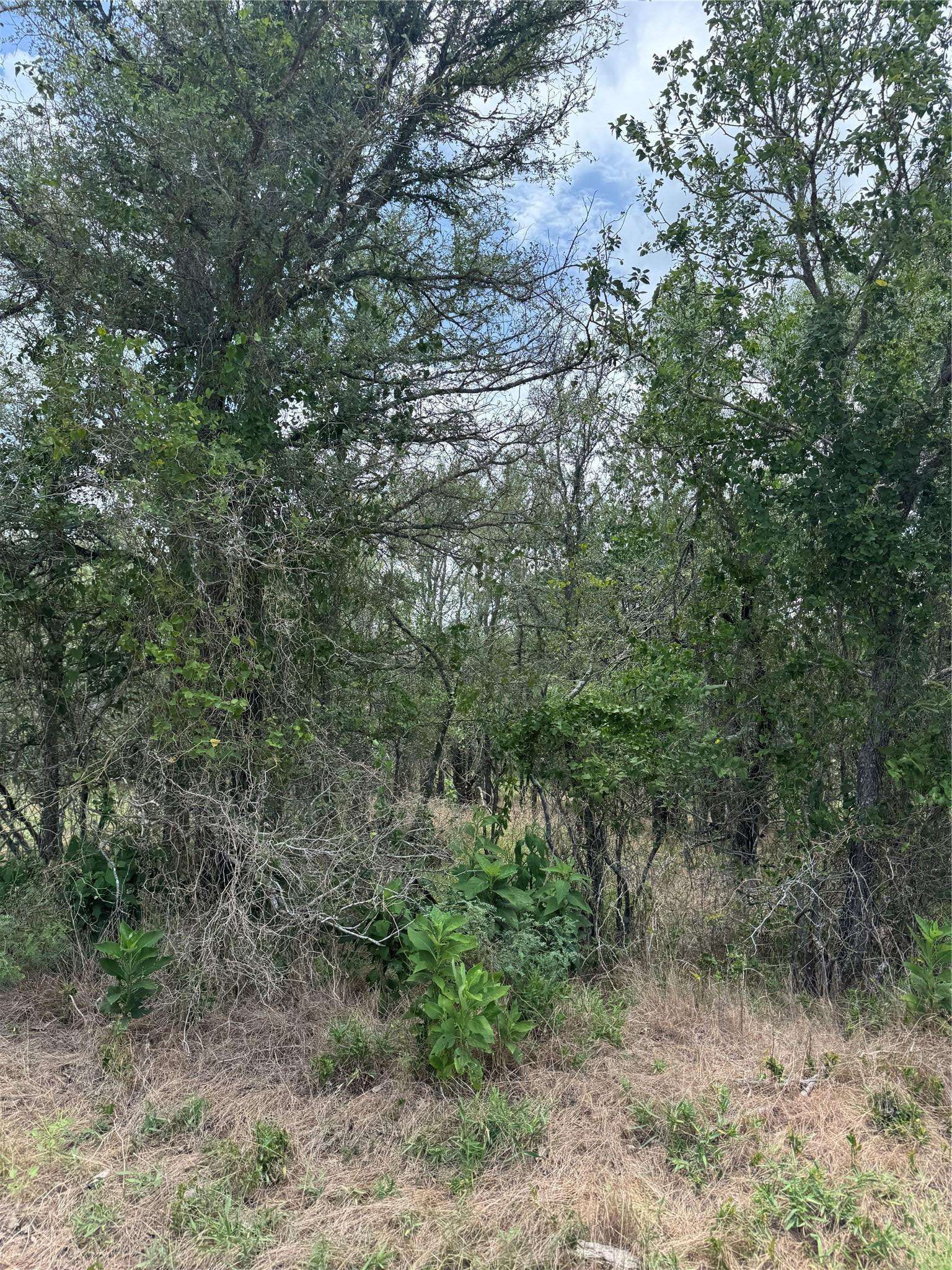 Lot 686 Kawainui LN, Bastrop, TX 78602