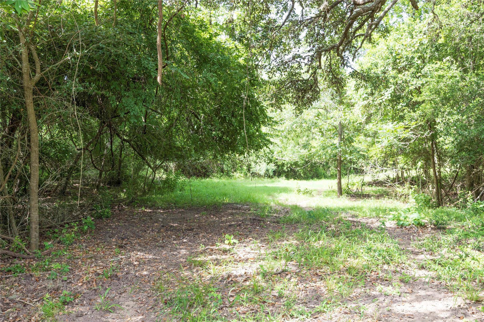 06 CR 212, Hallettsville, TX 77964