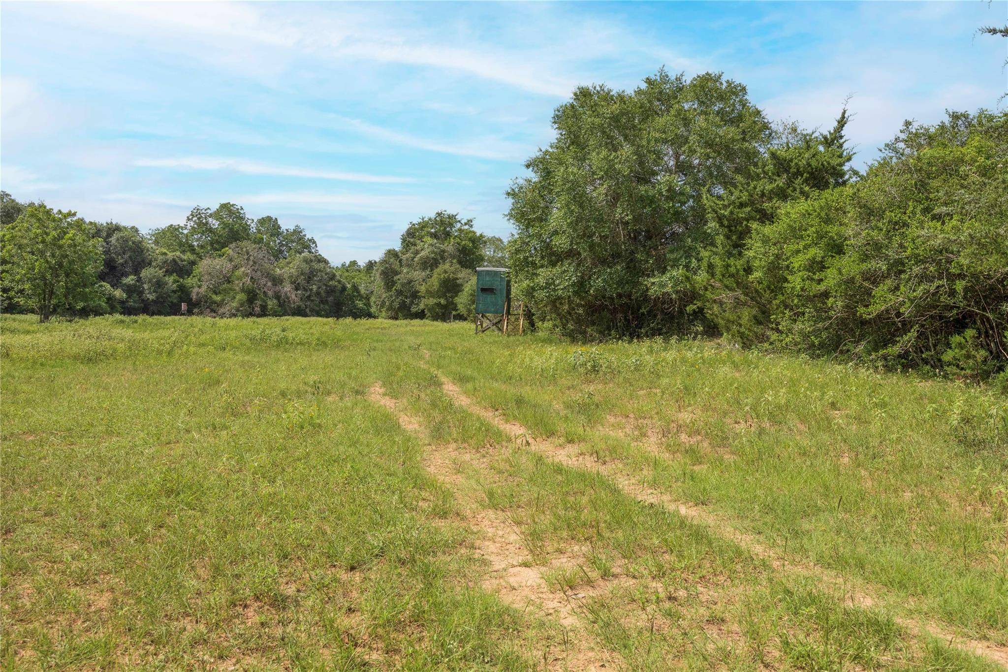 06 CR 212, Hallettsville, TX 77964