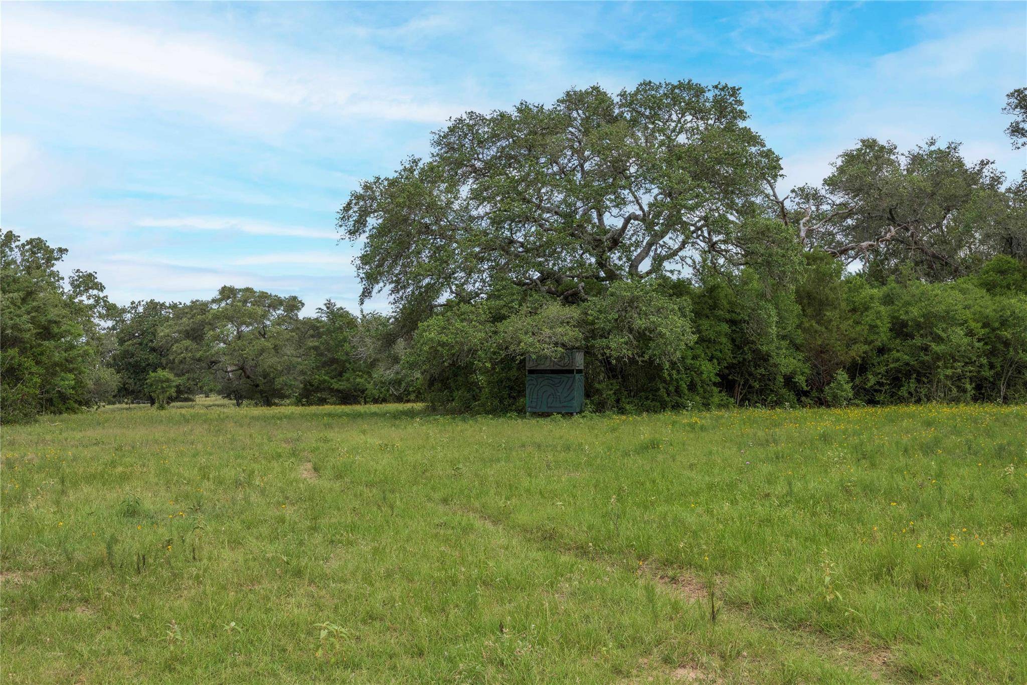 06 CR 212, Hallettsville, TX 77964