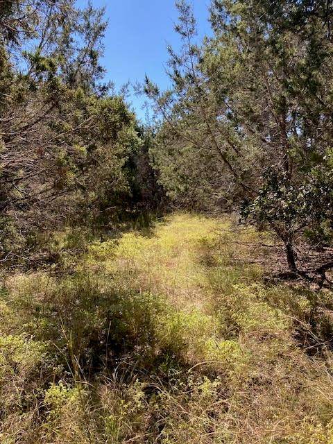 55 York Creek RD, Driftwood, TX 78619