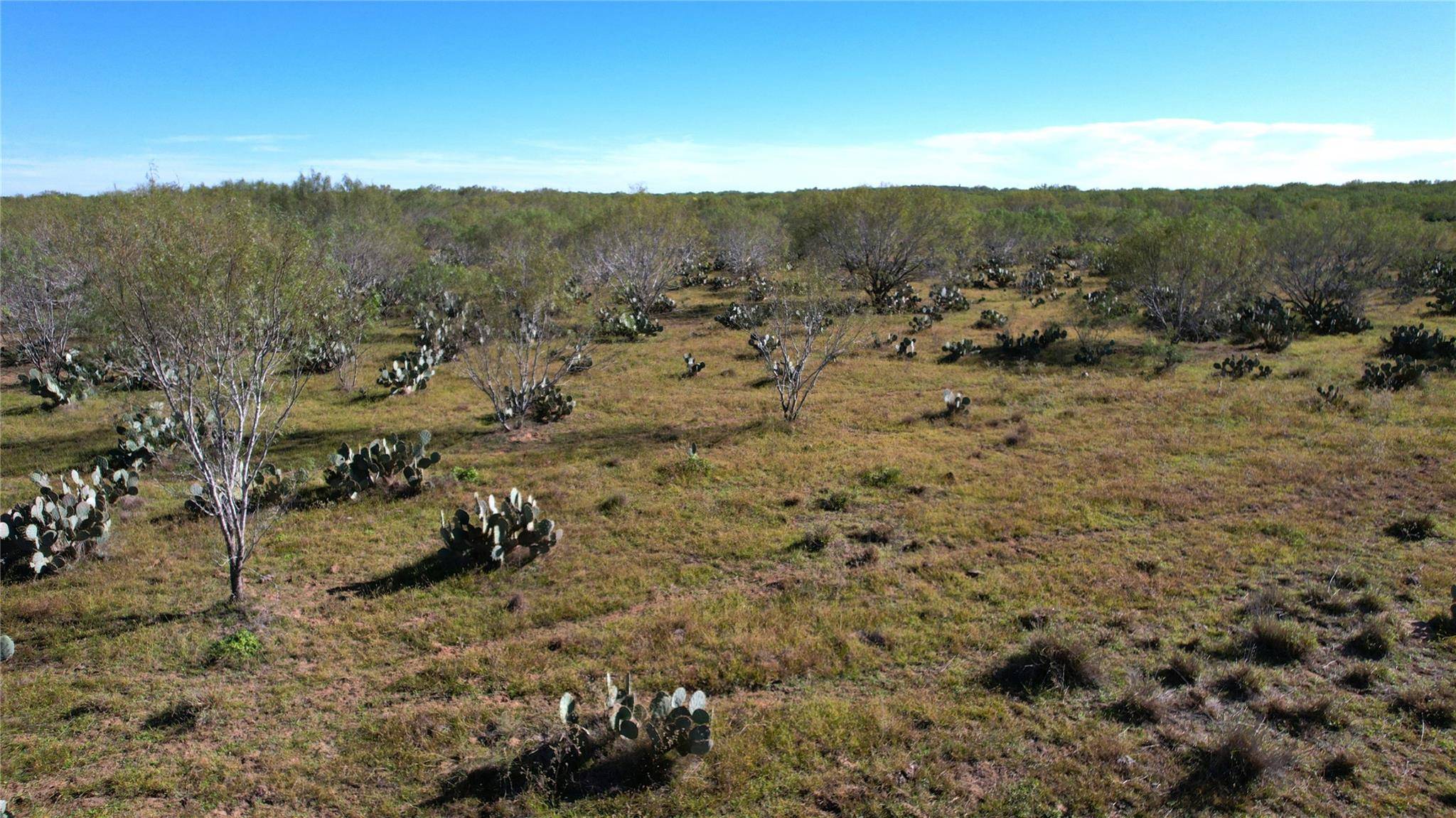 1913 County Road 3000, Pearsall, TX 78061