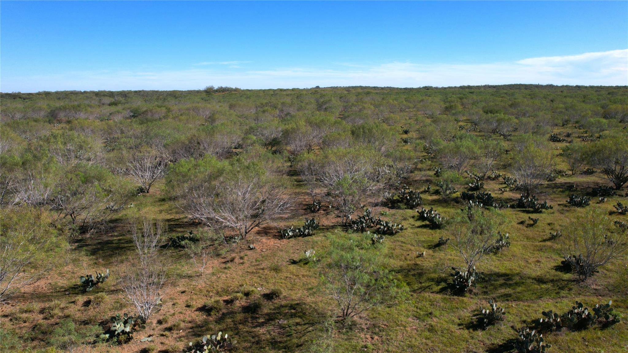1913 County Road 3000, Pearsall, TX 78061