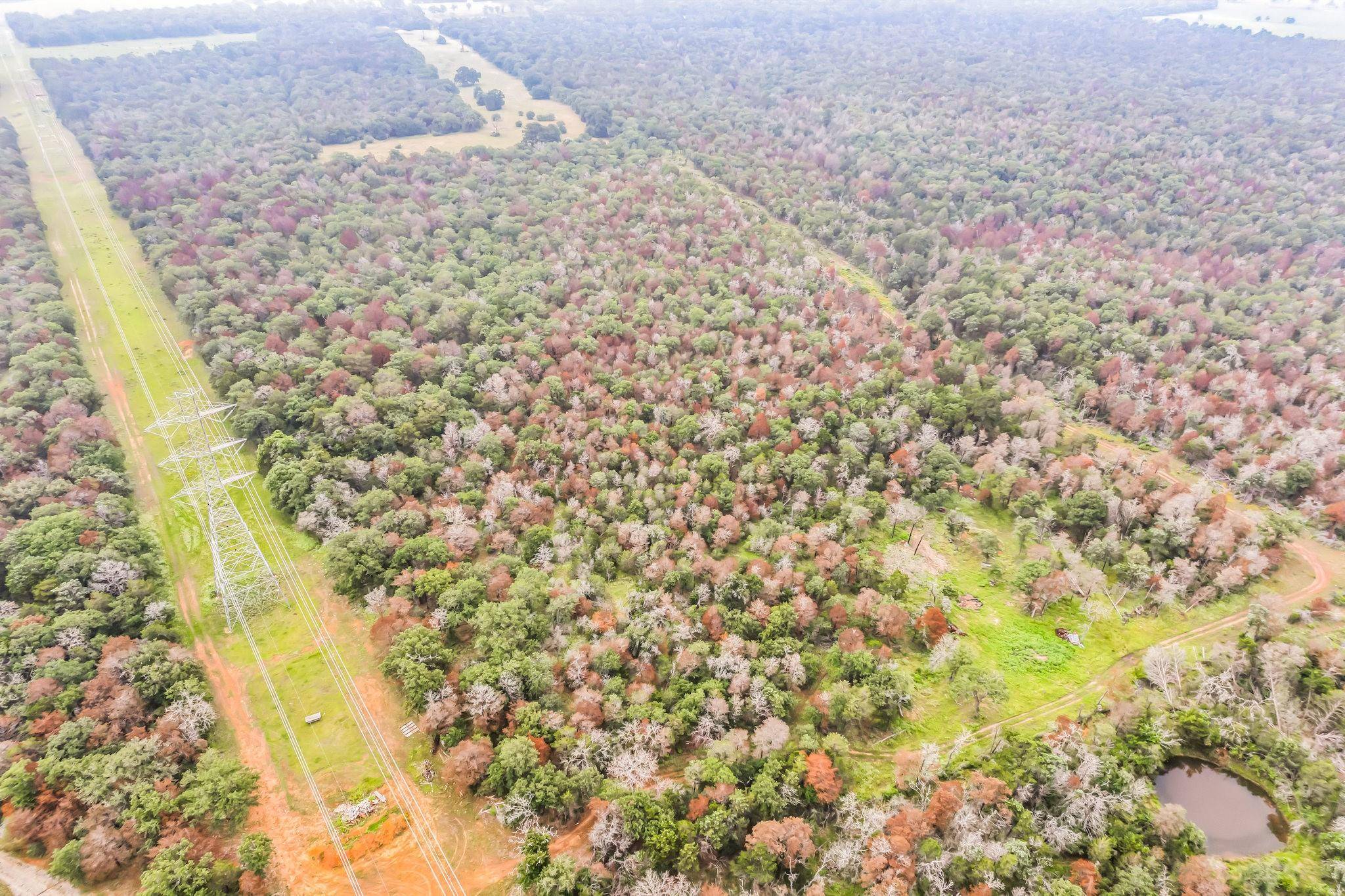 1360 Sand Hills RD #A, Red Rock, TX 78662