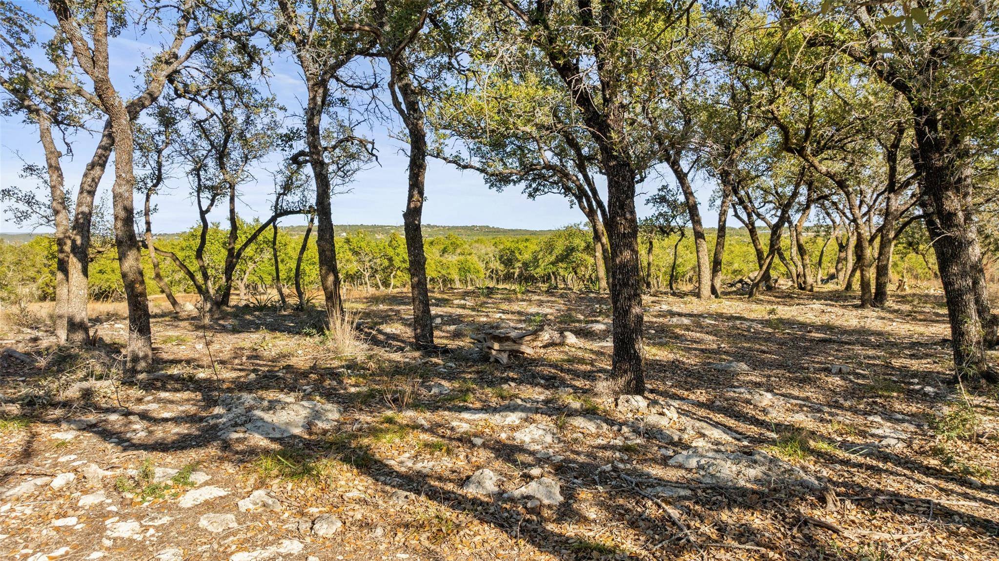 23405 Pedernales Canyon TRL, Spicewood, TX 78669