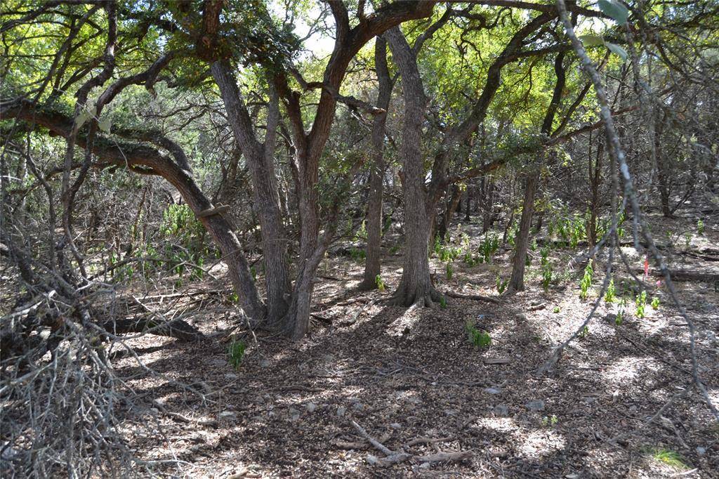 223 Pleasant Valley RD, Wimberley, TX 78676
