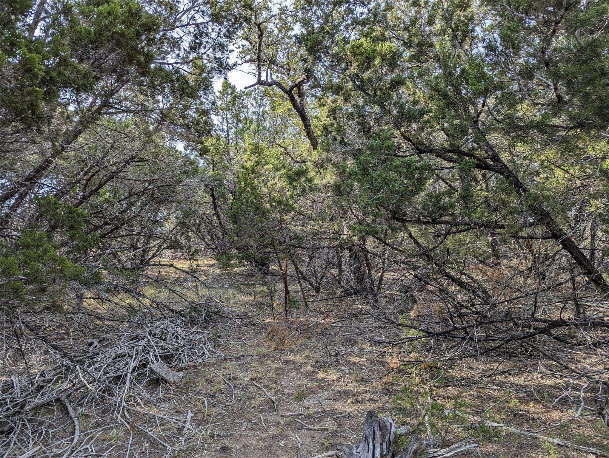 TBD Abilene ST, Wimberley, TX 78676