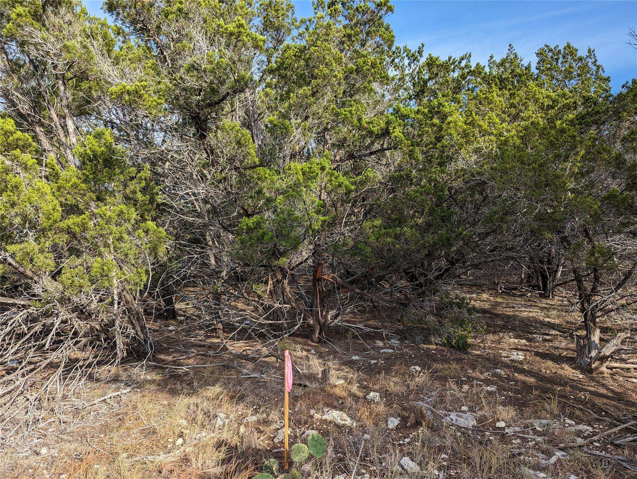 TBD Abilene ST, Wimberley, TX 78676