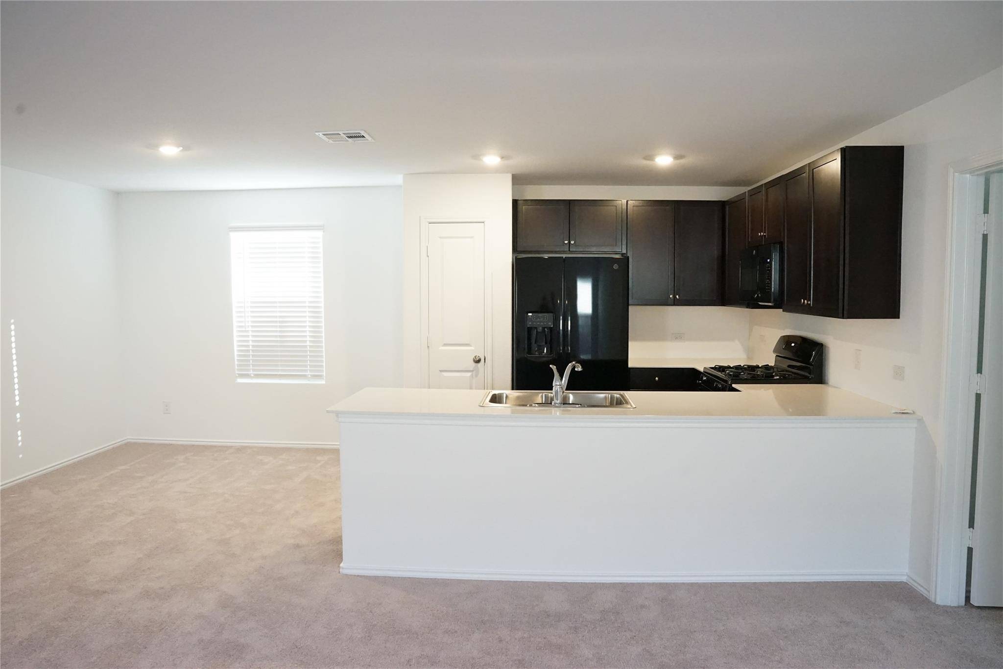 184 Northern Pintail, Kyle, TX 78640