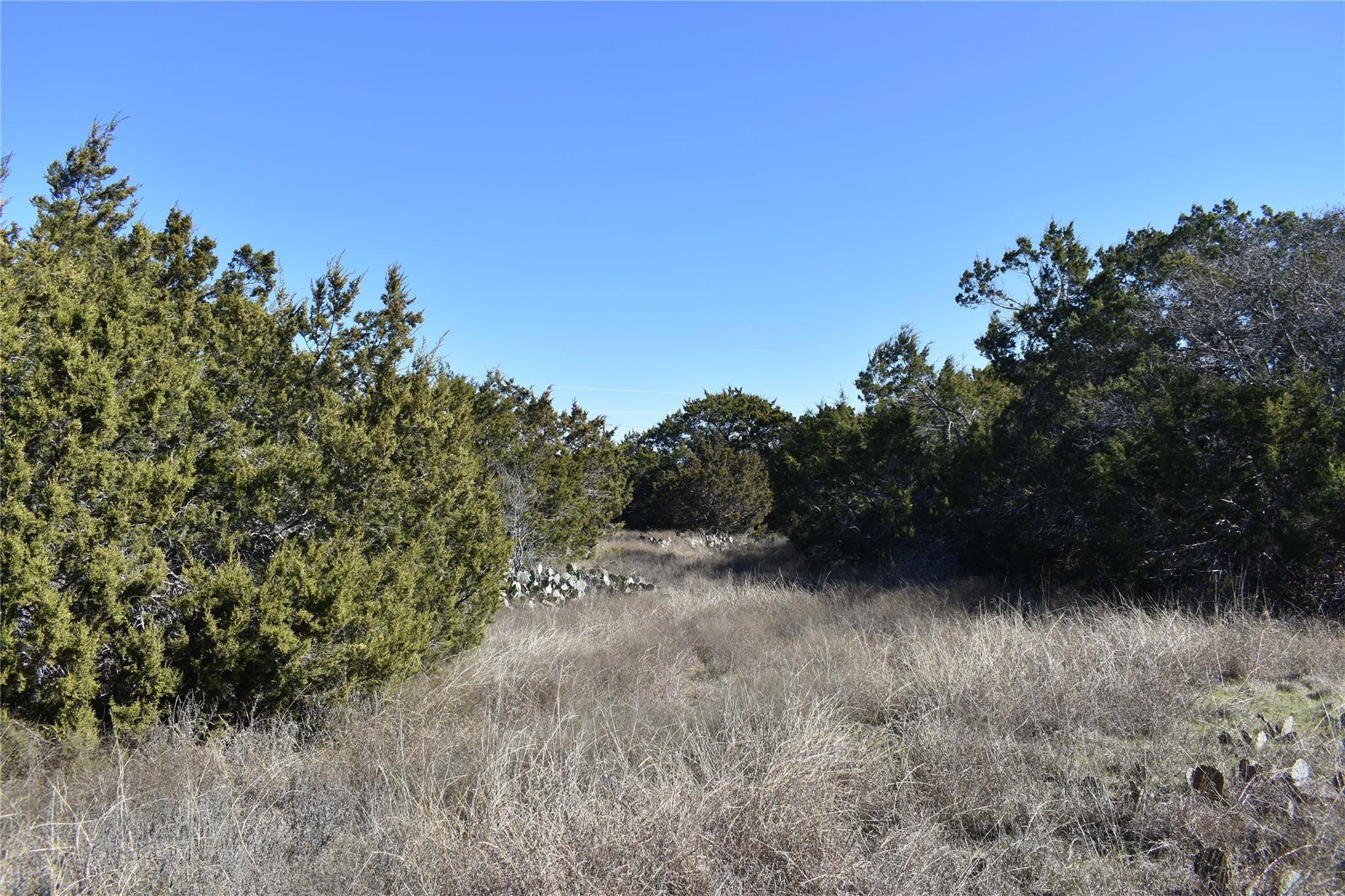 Lot 18 Riparian Elm, Bertram, TX 78605