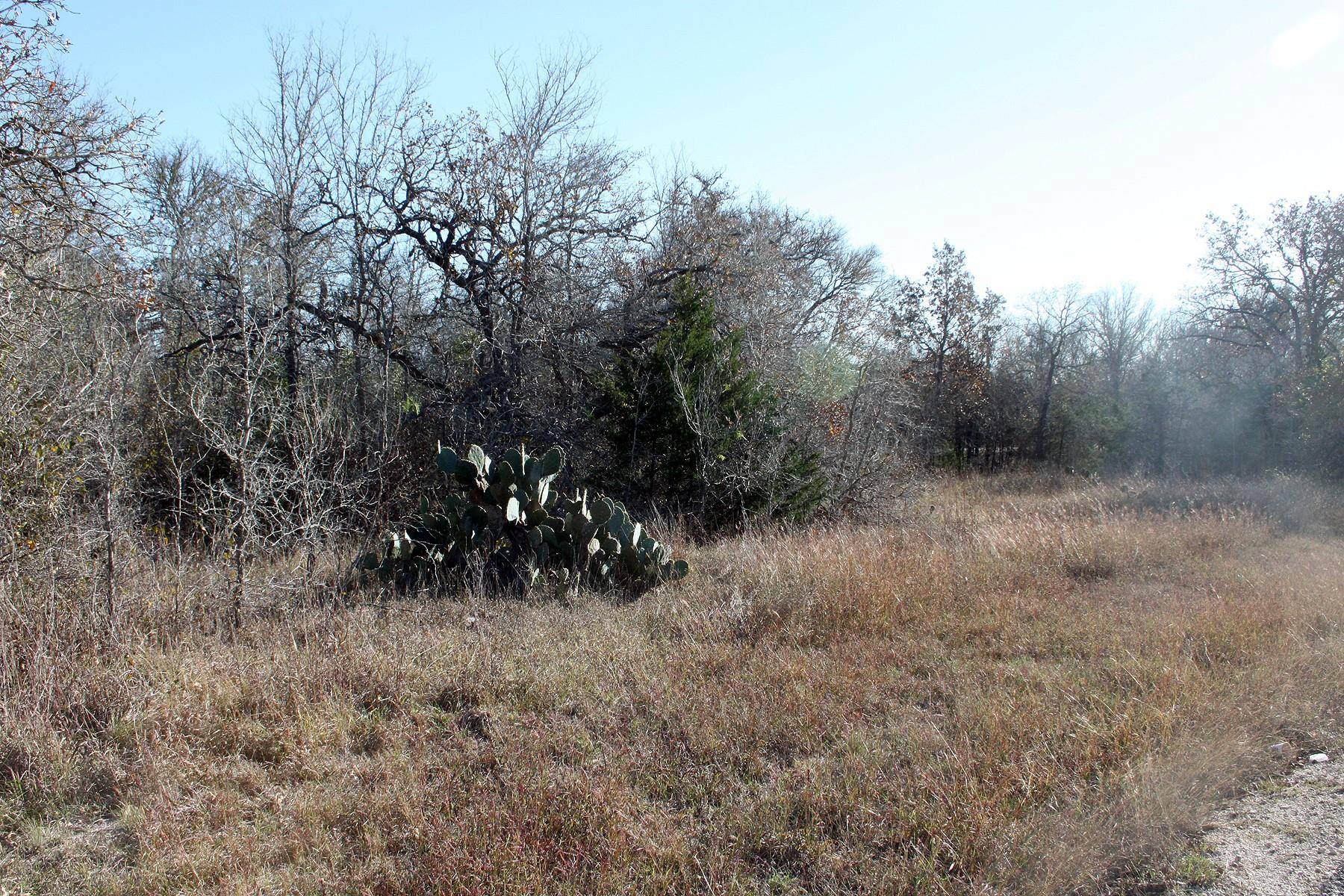 100 Track Road HWY, Dale, TX 78616