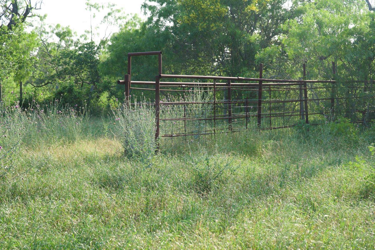 TBD Taylorsville Road RD, Red Rock, TX 78662