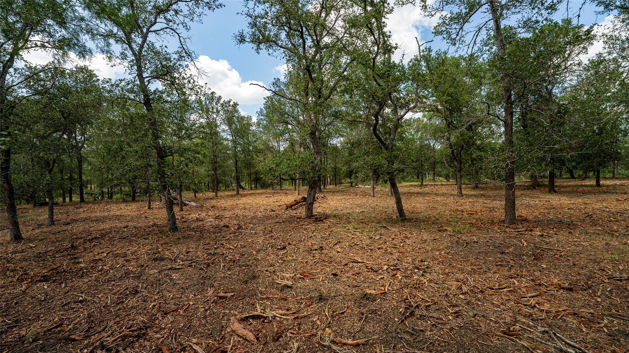 3980 (Tract 5) Fm 3158, Dale, TX 78616