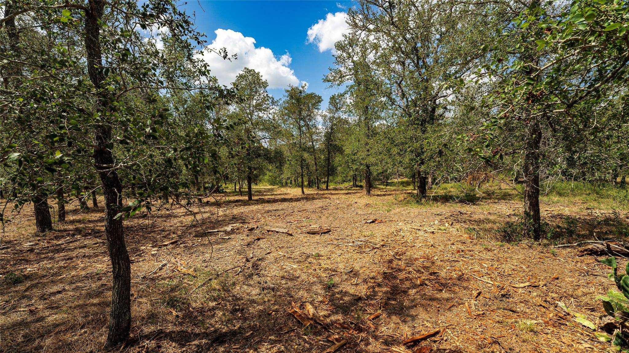 3980 (Tract 5) Fm 3158, Dale, TX 78616