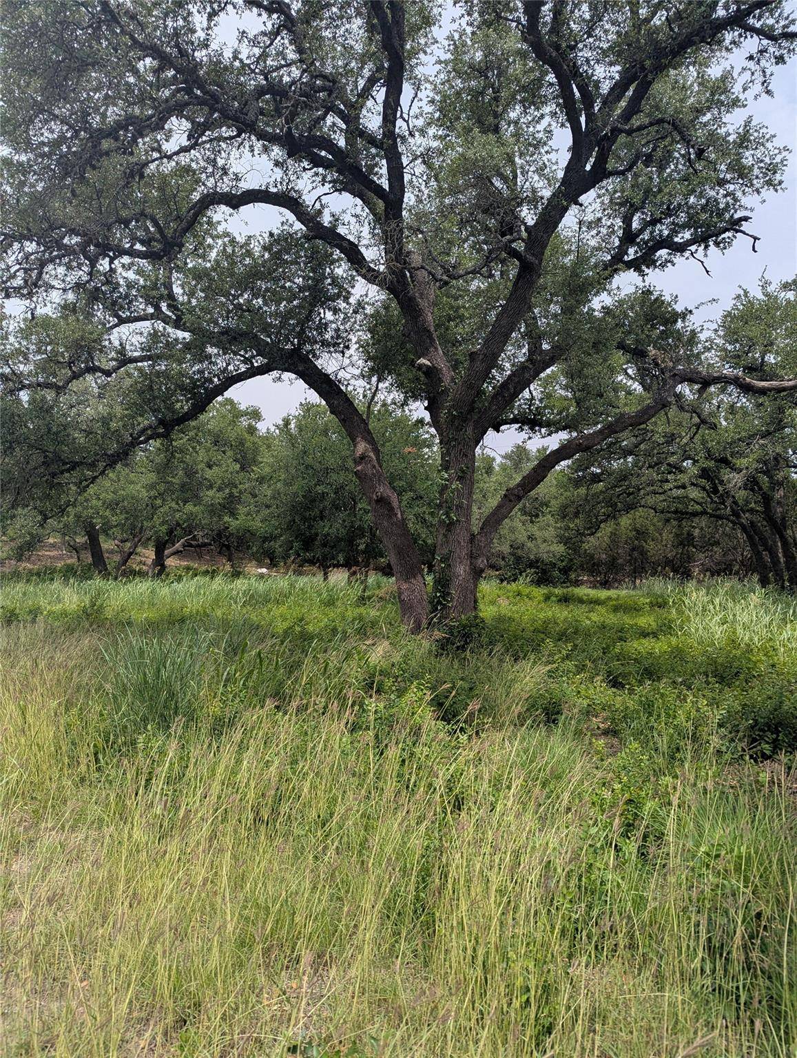 Lot 2 Hamilton Pool RD, Bee Cave, TX 78738