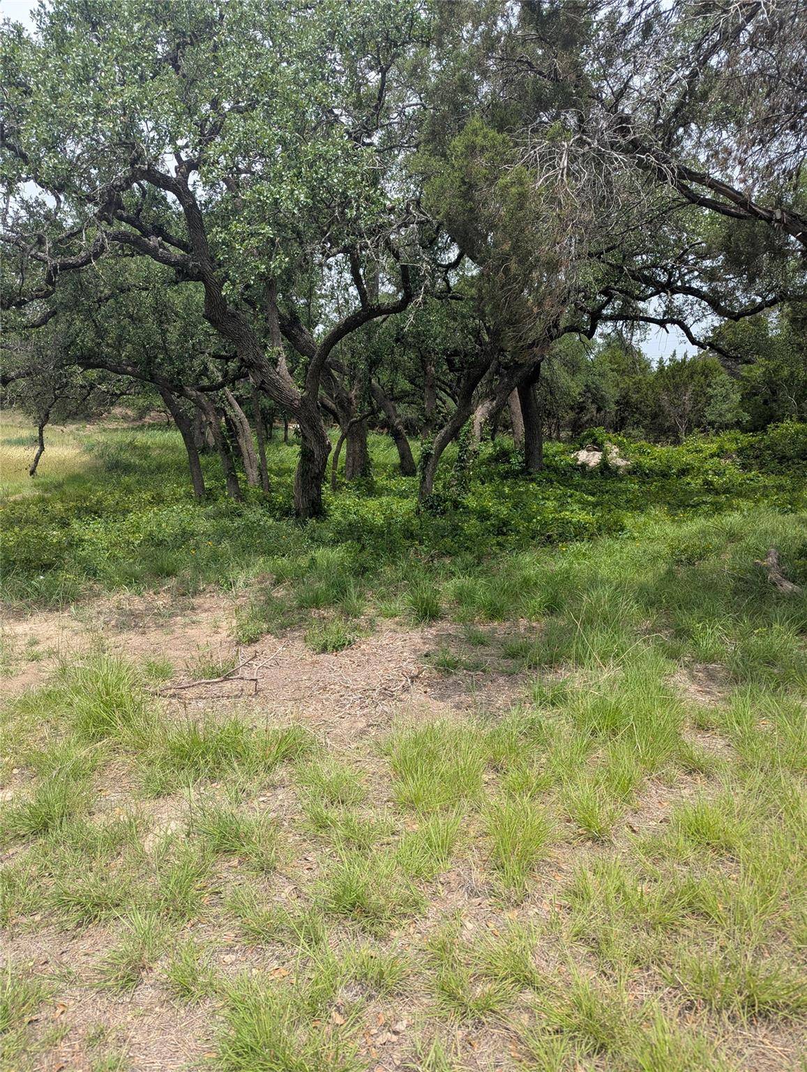 Lot 2 Hamilton Pool RD, Bee Cave, TX 78738